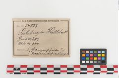 Etiketten zu Bronzephalere (NHMW-PRAE-024553)